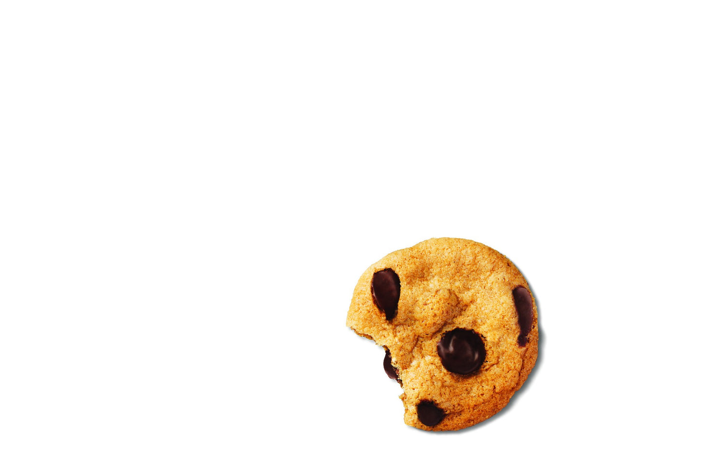 Gluten-free chocolate chip cookie close-up showing crispy texture and chocolate chips