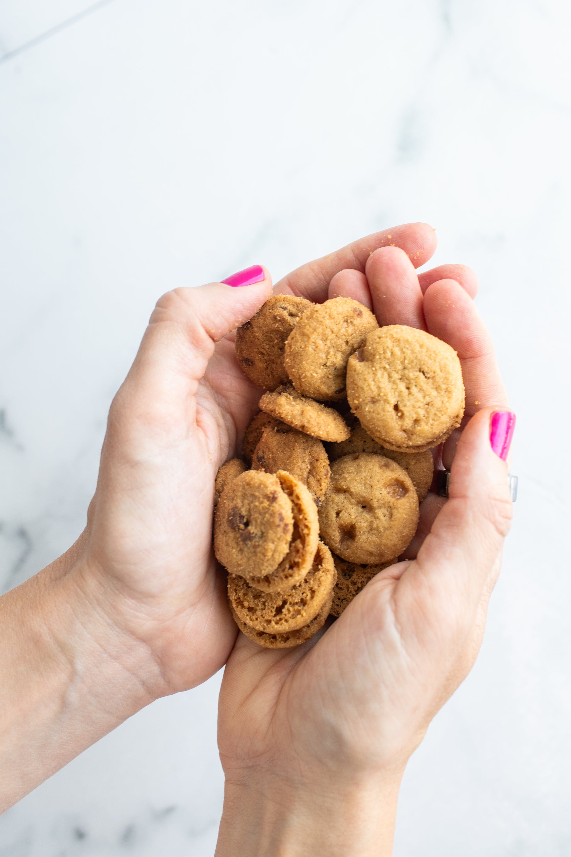 Hand holding gluten-free chocolate chip thin crispy cookies from Fancypants Baking Co showing portion size